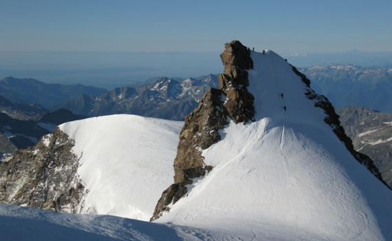 Corno nero